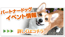 イベント情報