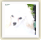 �X�^�b�t�u���O