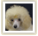 �g���~���O�T����