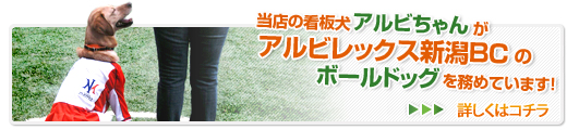 当店看板犬のアルビちゃんがアルビレックスのボール犬を務めています。