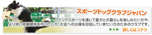 スポーツドッグクラブジャパン