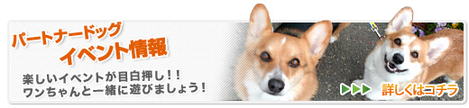 イベント情報