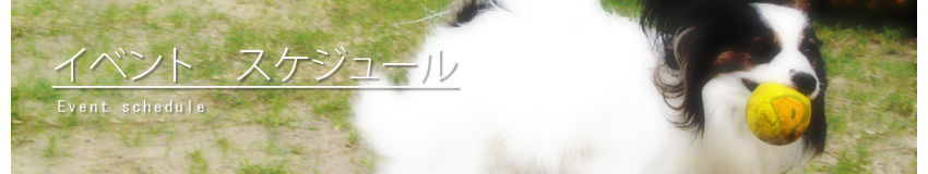 �C�x���g�X�P�W���[��