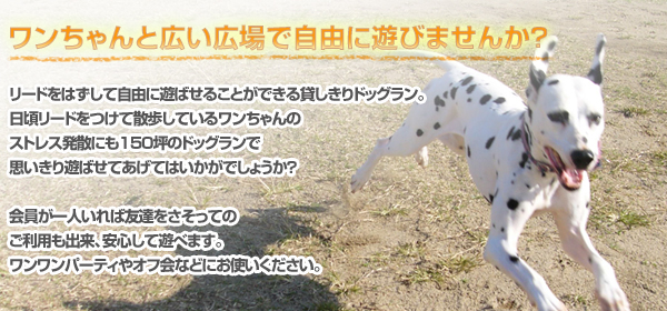 ドッグラン