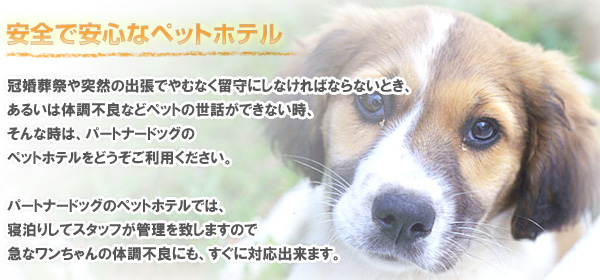 ペットホテル
