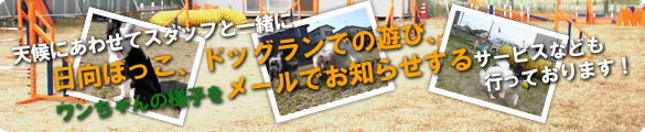 サービス紹介