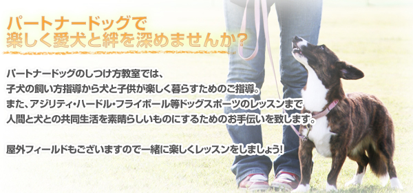 しつけ方教室
