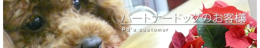 Pd�̂��q�l�̂��Љ�