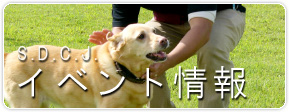 イベント情報