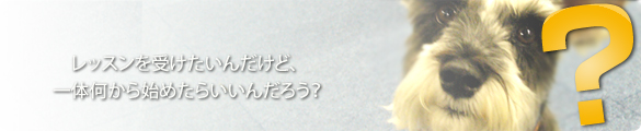 レッスンを受けたいけど、一体うちのコは何から始めたらいいの？