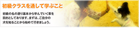 初級クラスを通して学ぶこと