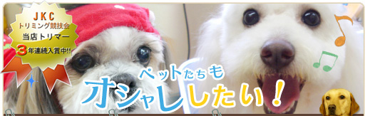 ペットたちもオシャレしたい！パートナードッグのトリミングサロン！