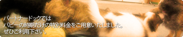 �g���~���O�@���T���